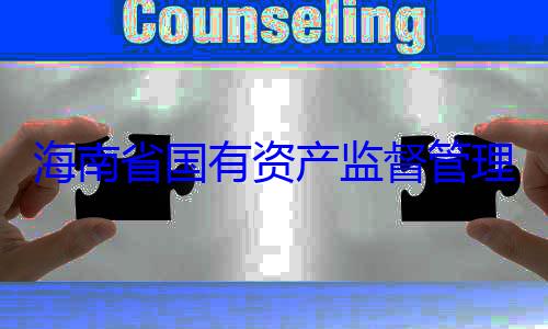 委副书记王有福接受审海南省国有资产监督管理委员会党查调查